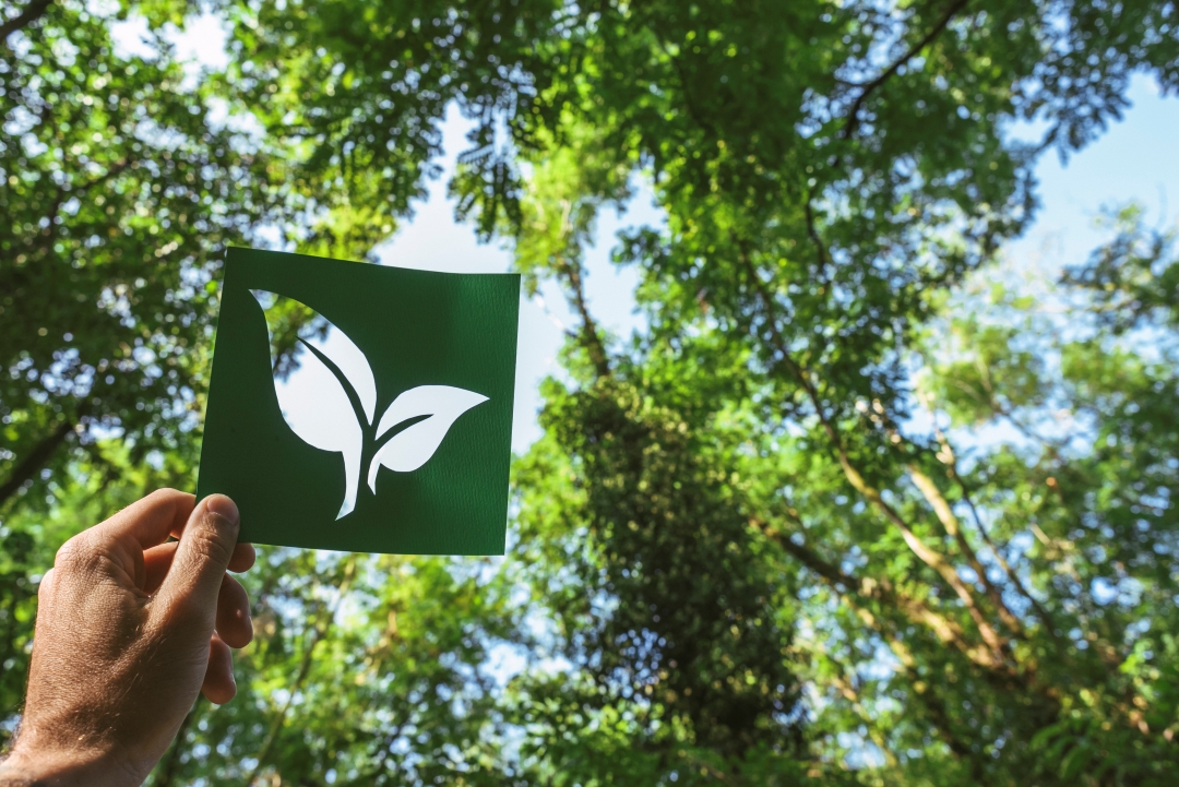 Licencia Ambiental Única SERMANAT